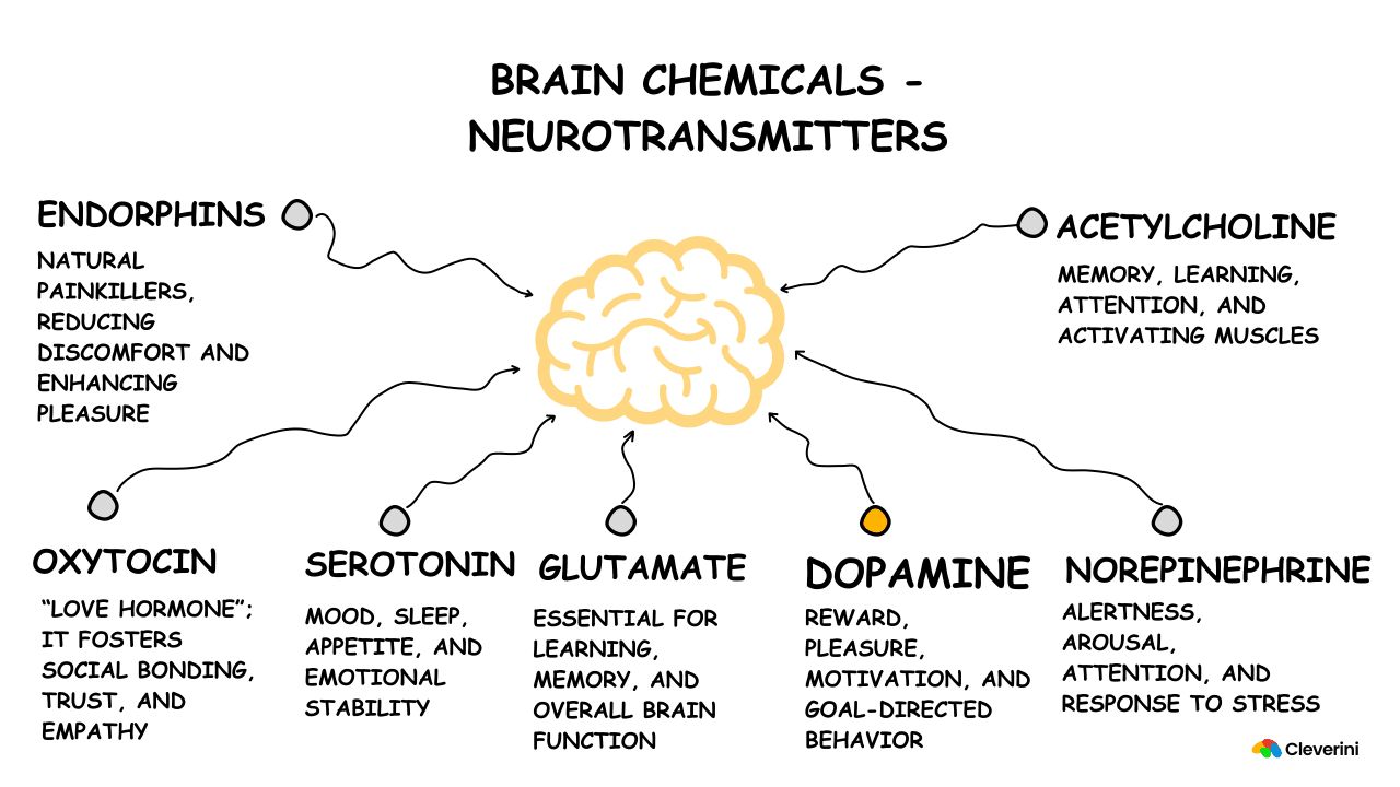 The Dopamine Effect: How to Motivate Yourself Naturally by Understanding Your Brain Chemistry